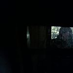 BLACK_CHRISTMAS_HD_1489.jpg