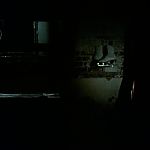 BLACK_CHRISTMAS_HD_1620.jpg
