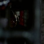 BLACK_CHRISTMAS_HD_1701.jpg