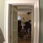 ISNT_IT_DELICIOUS_-_BEHIND_THE_SCENES_099.jpg