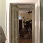 ISNT_IT_DELICIOUS_-_BEHIND_THE_SCENES_101.jpg