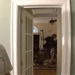 ISNT_IT_DELICIOUS_-_BEHIND_THE_SCENES_102.jpg