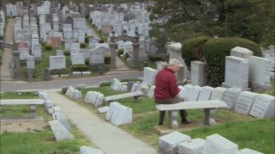DAMAGES_-_E4X07_IM_WORRIED_ABOUT_MY_DOG_004.jpg