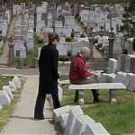 DAMAGES_-_E4X07_IM_WORRIED_ABOUT_MY_DOG_035.jpg