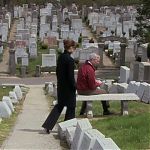 DAMAGES_-_E4X07_IM_WORRIED_ABOUT_MY_DOG_036.jpg