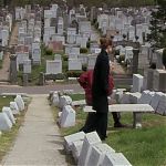 DAMAGES_-_E4X07_IM_WORRIED_ABOUT_MY_DOG_039.jpg