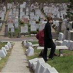 DAMAGES_-_E4X07_IM_WORRIED_ABOUT_MY_DOG_040.jpg