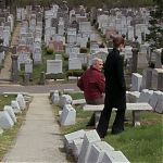 DAMAGES_-_E4X07_IM_WORRIED_ABOUT_MY_DOG_041.jpg