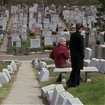 DAMAGES_-_E4X07_IM_WORRIED_ABOUT_MY_DOG_042.jpg