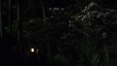 THE_PATH_-_E2X01_LIMINAL_TWILIGHT_282.jpg