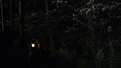 THE_PATH_-_E2X01_LIMINAL_TWILIGHT_284.jpg