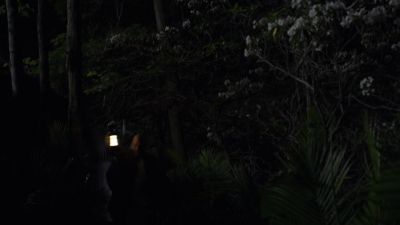 THE_PATH_-_E2X01_LIMINAL_TWILIGHT_285.jpg