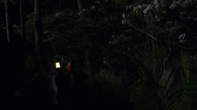 THE_PATH_-_E2X01_LIMINAL_TWILIGHT_286.jpg