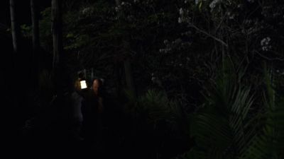 THE_PATH_-_E2X01_LIMINAL_TWILIGHT_288.jpg