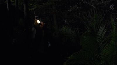 THE_PATH_-_E2X01_LIMINAL_TWILIGHT_293.jpg