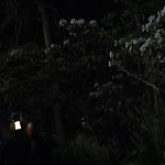 THE_PATH_-_E2X01_LIMINAL_TWILIGHT_282.jpg