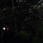 THE_PATH_-_E2X01_LIMINAL_TWILIGHT_284.jpg