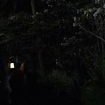 THE_PATH_-_E2X01_LIMINAL_TWILIGHT_285.jpg