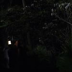 THE_PATH_-_E2X01_LIMINAL_TWILIGHT_286.jpg