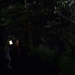 THE_PATH_-_E2X01_LIMINAL_TWILIGHT_287.jpg