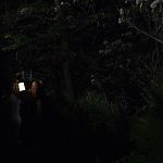 THE_PATH_-_E2X01_LIMINAL_TWILIGHT_288.jpg
