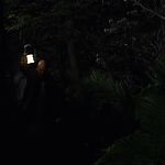 THE_PATH_-_E2X01_LIMINAL_TWILIGHT_292.jpg