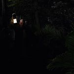 THE_PATH_-_E2X01_LIMINAL_TWILIGHT_298.jpg