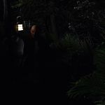 THE_PATH_-_E2X01_LIMINAL_TWILIGHT_300.jpg