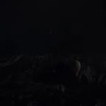 THE_PATH_-_E2X01_LIMINAL_TWILIGHT_440.jpg